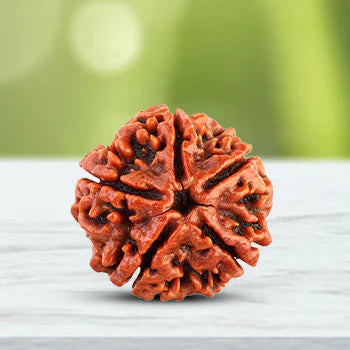 Om Shiva Trishul Rudraksha Necklace
