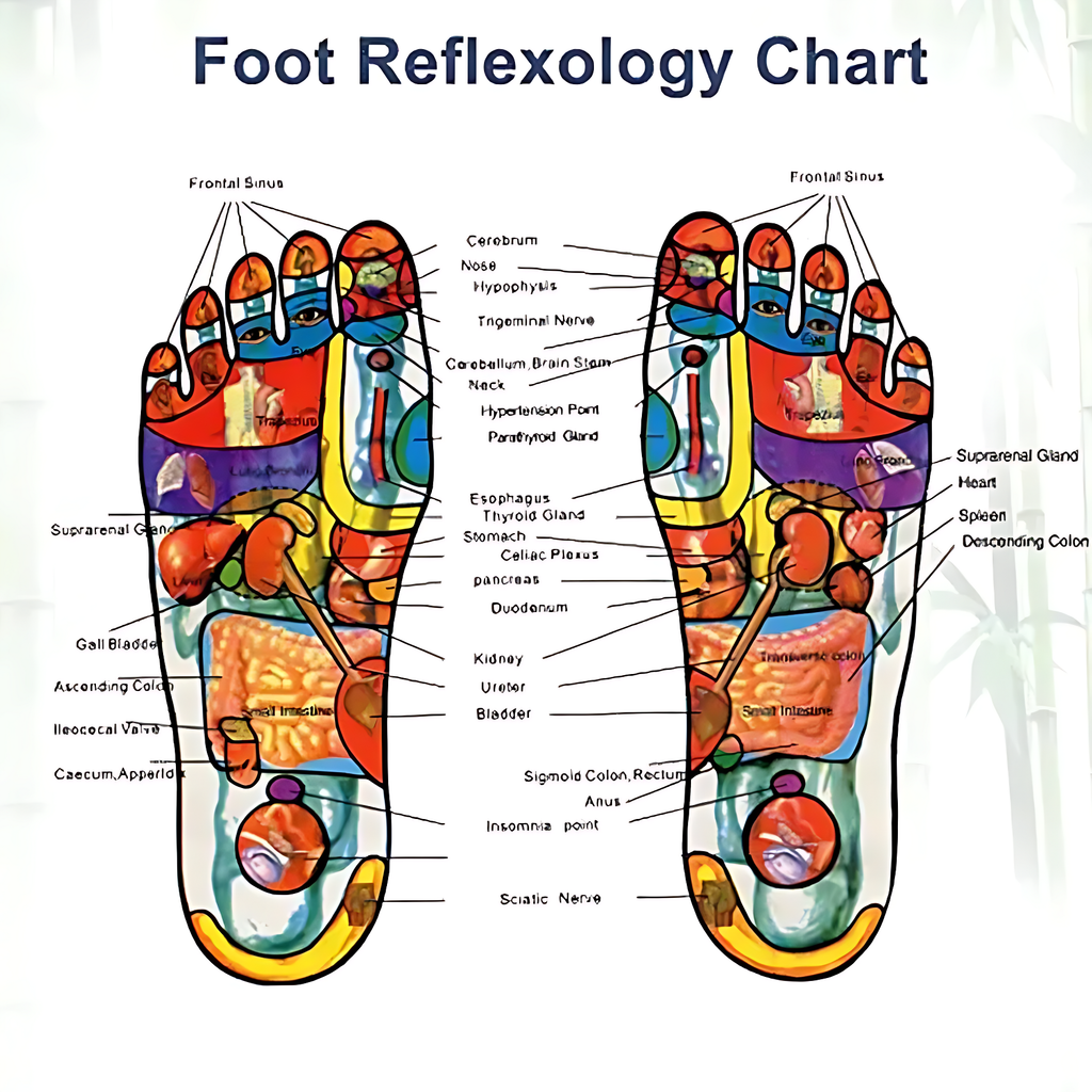 KINOKI Cleansing Detox Foot Pads, (20pcs) For 20 Day